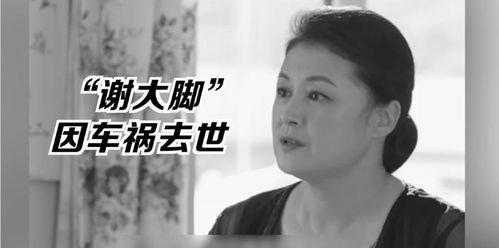 娱乐圈吃瓜明星代号厨子